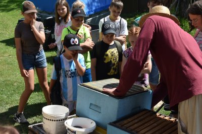 Zielono mi... EkoWakacje z Domem Kultury 2025